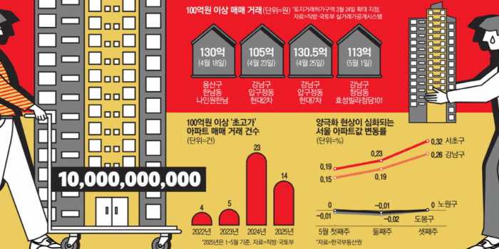 부동산 대분화 시대 강남 100억 거래 활황 vs 노도강 침체